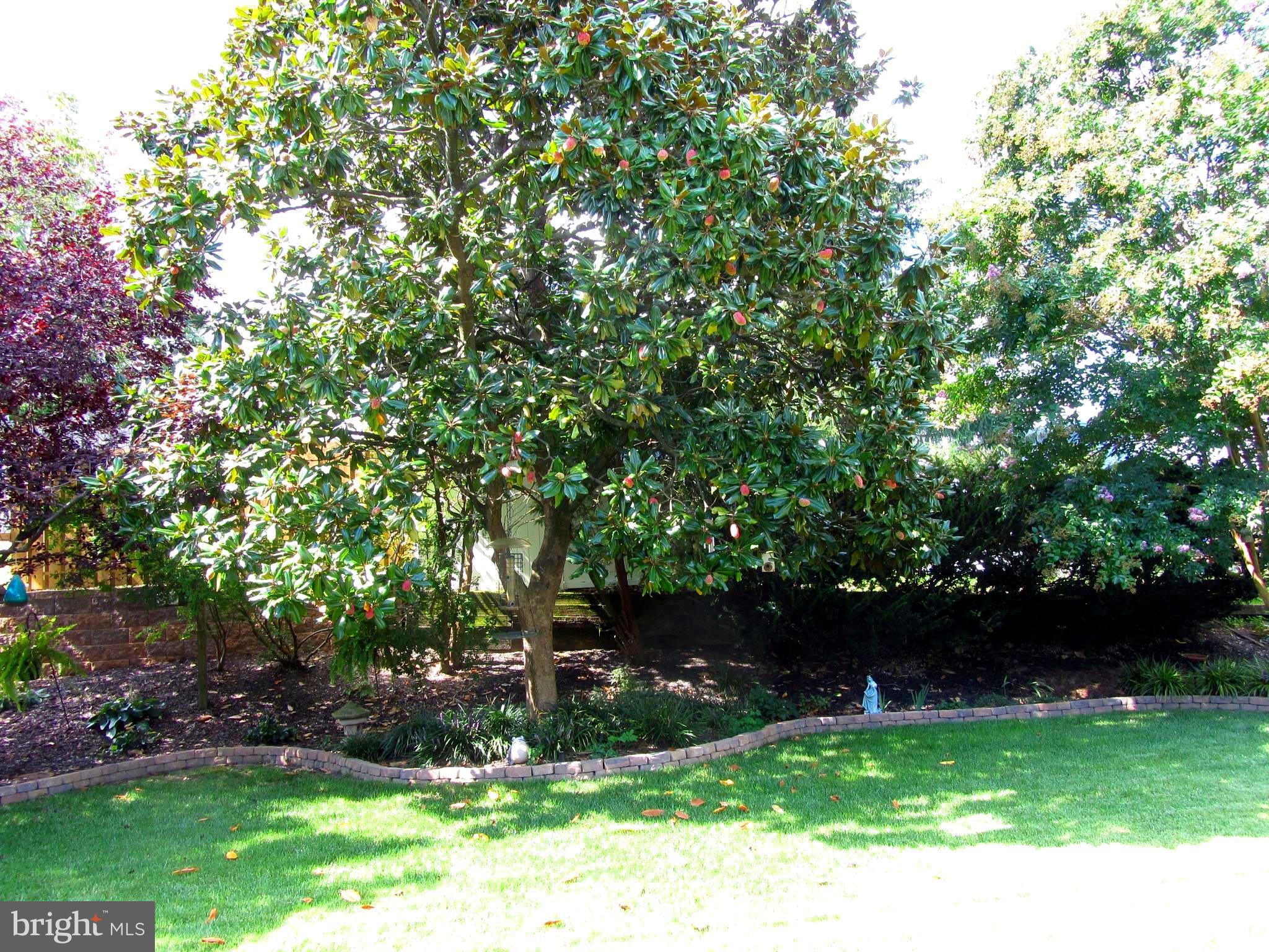 9130 Kilbride Road Baltimore, MD 21236 - Photo 22 of 29 Gardens have irrigation system
