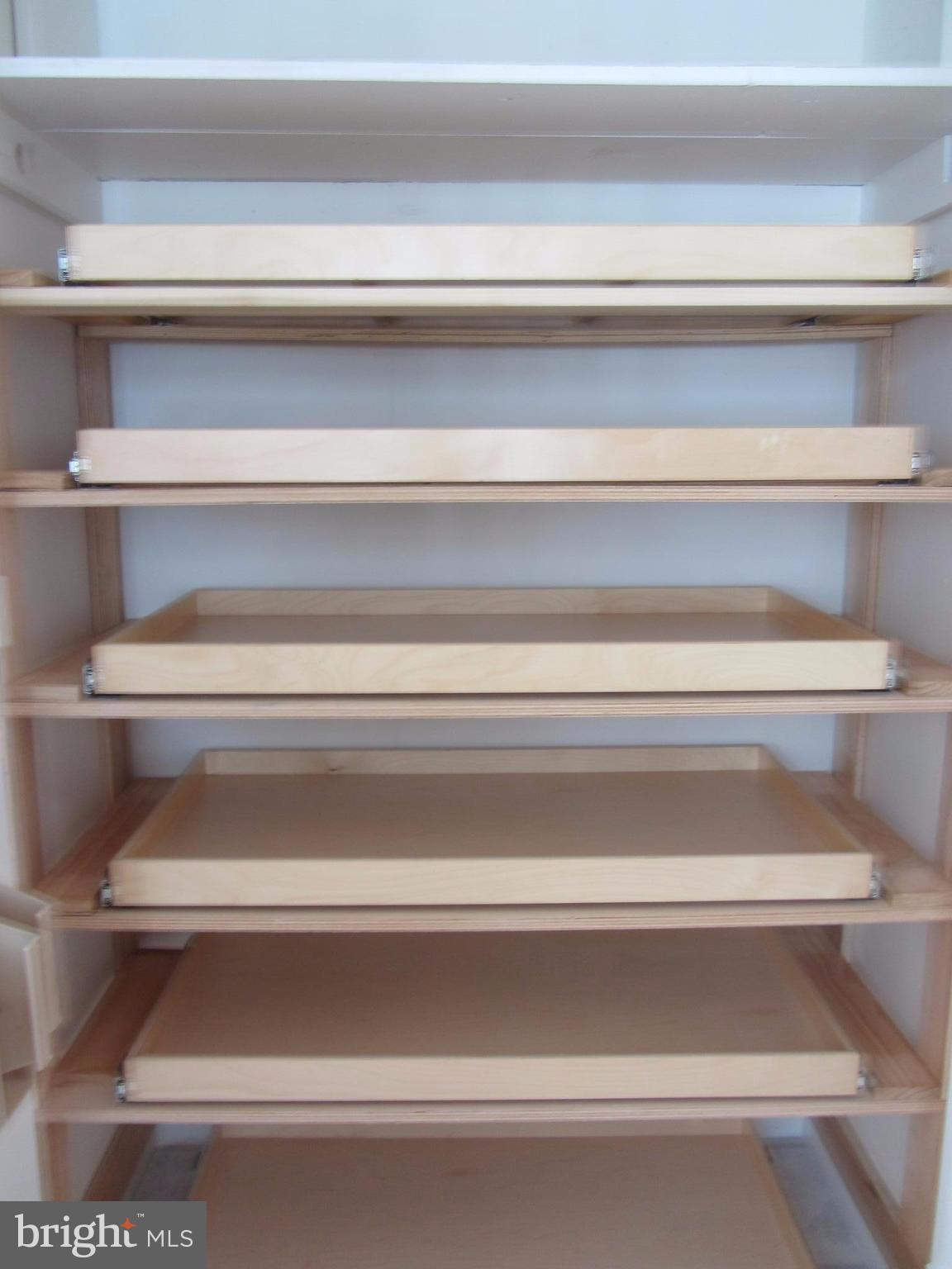 9130 Kilbride Road Baltimore, MD 21236 - Photo 6 of 29 Sliding Shelves in Pantry