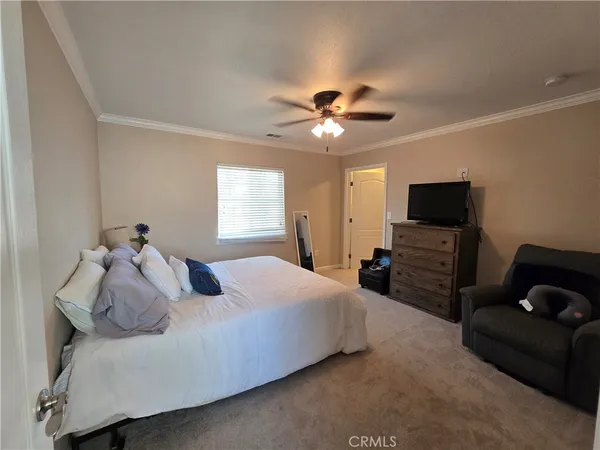 a bed room with furniture and a window
