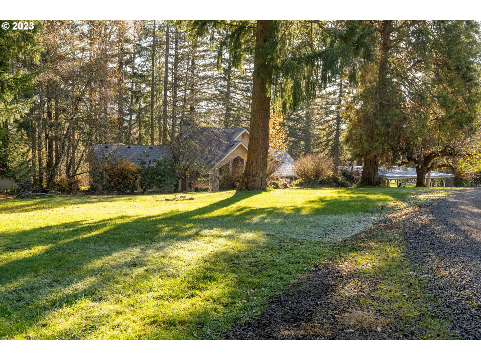 90532 Hill Road Springfield, OR 97478 - Photo 18 of 37 a view of swimming pool with lawn chairs and large trees