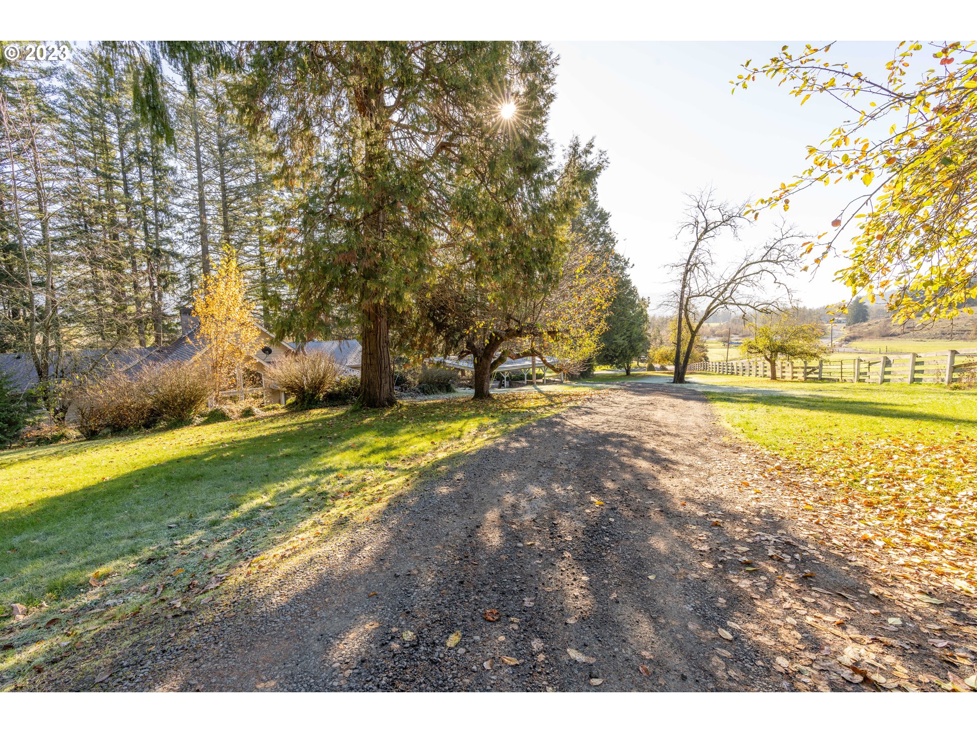 90532 Hill Road Springfield, OR 97478 - Photo 19 of 37 a view of an outdoor space and a yard