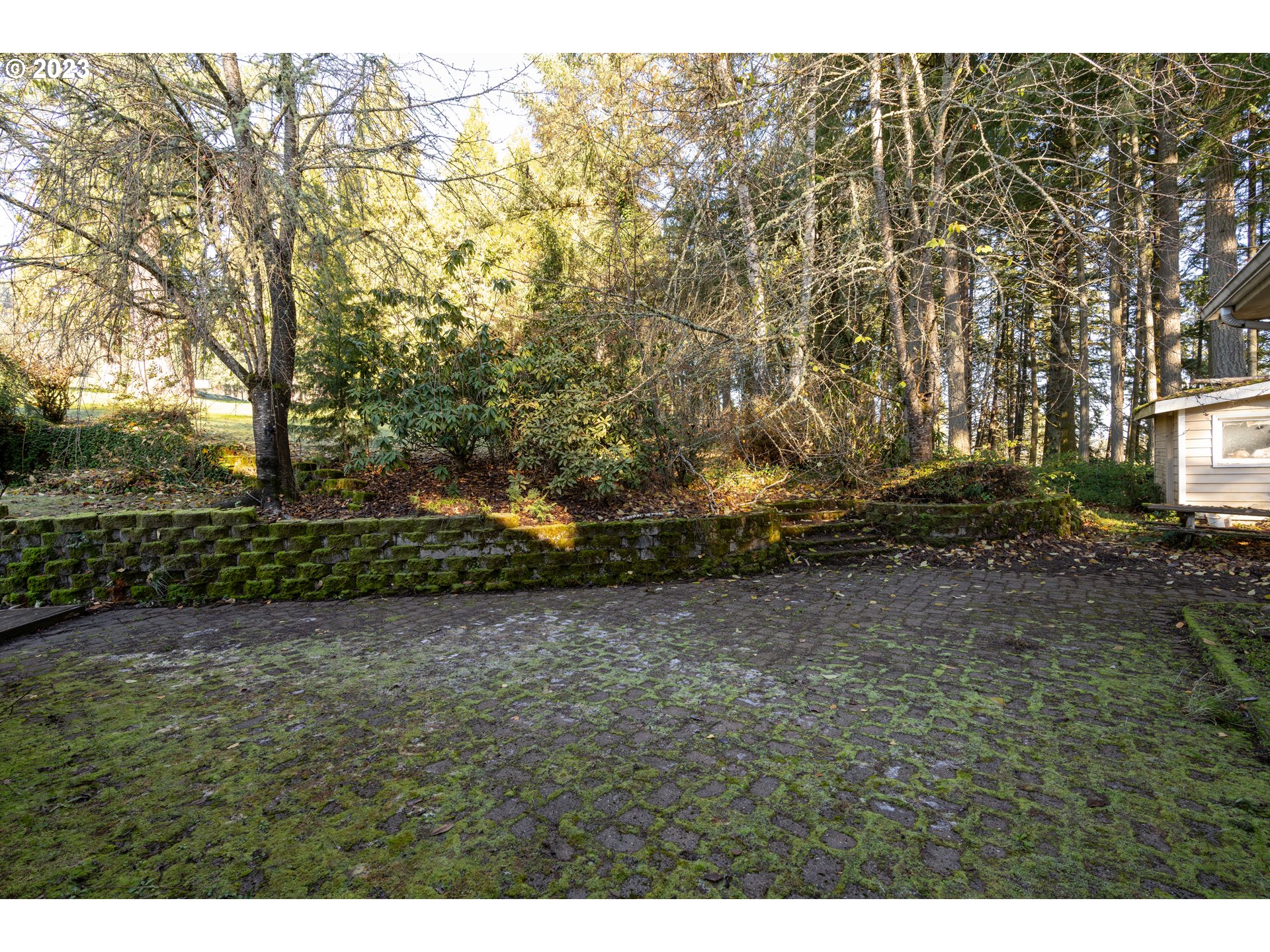 90532 Hill Road Springfield, OR 97478 - Photo 9 of 37 a view of a yard with trees
