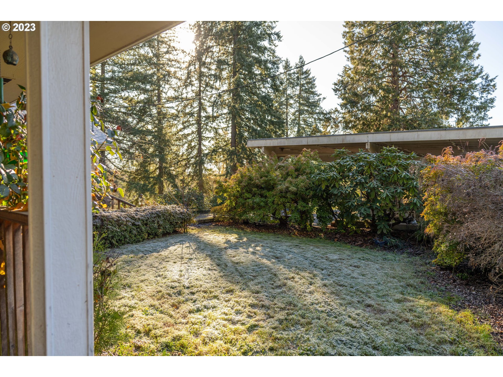 90532 Hill Road Springfield, OR 97478 - Photo 10 of 37 a view of backyard with green space