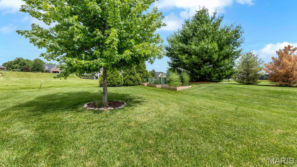 3904 Stone Hollow Lane Edwardsville, IL 62025 - Photo 63 of 71