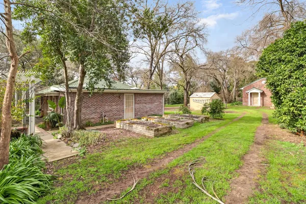 a view of a yard with plants and trees