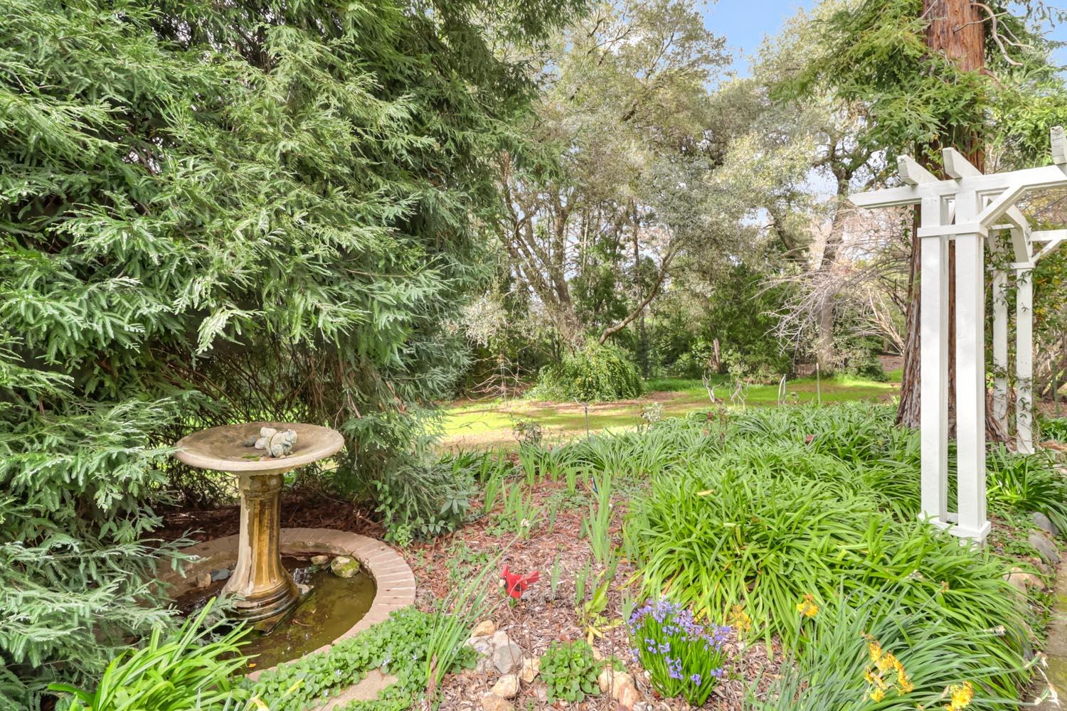 3200 Becerra Way Sacramento, CA 95821 - Photo 51 of 65