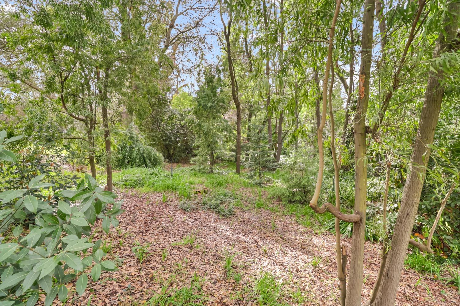 3200 Becerra Way Sacramento, CA 95821 - Photo 55 of 65