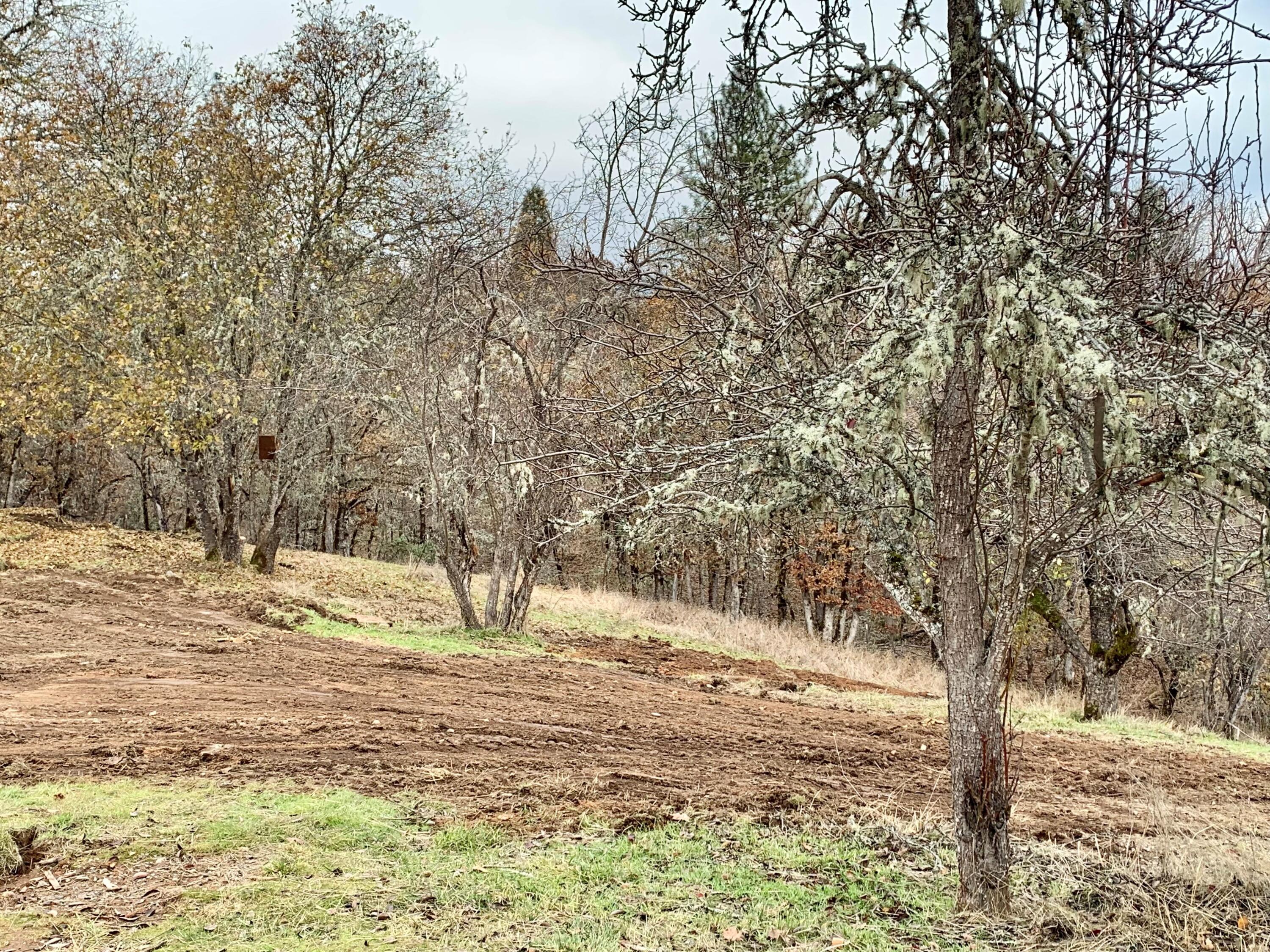 5471 Tunnel Loop Road Grants Pass, OR 97526 - Photo 18 of 23 7