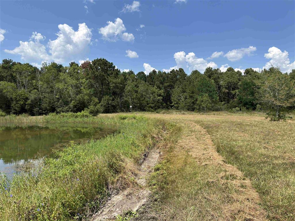 6500 River Road Lake Charles, LA 70615 - Photo 29 of 35 Gallery Image 29