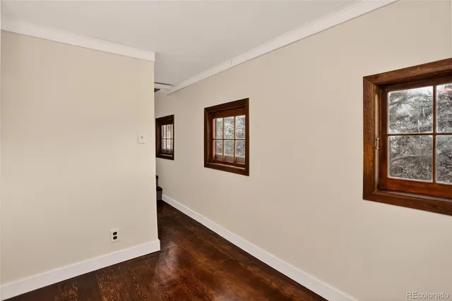a view of a dry yard with large trees