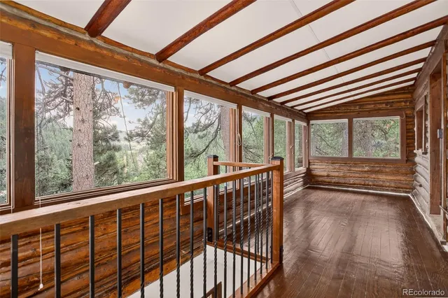 a view of a garden with two chairs