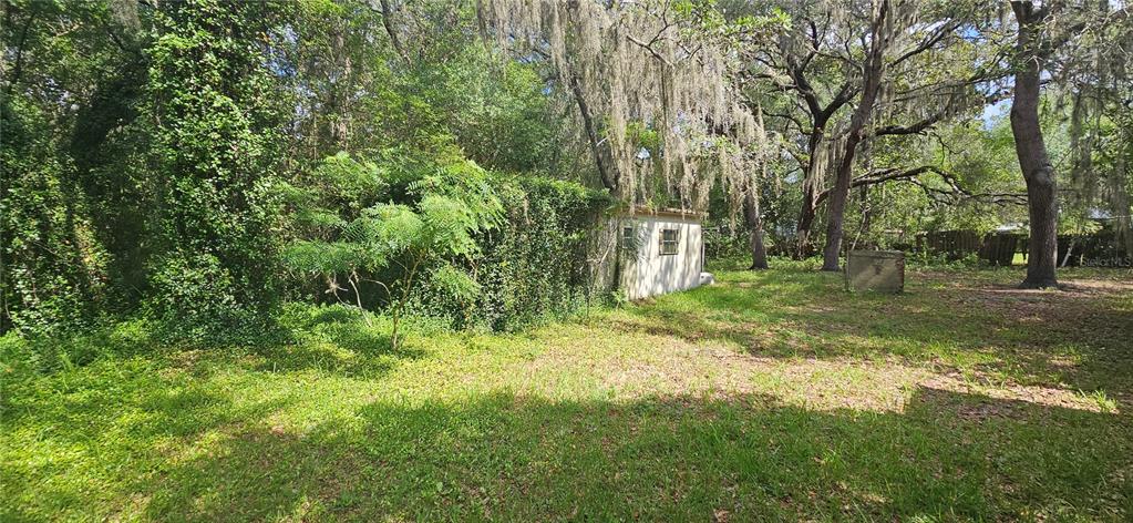 107 Apache Avenue Interlachen, FL 32148 - Photo 21 of 24