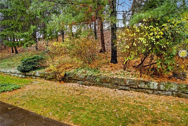 a view of a yard with large trees