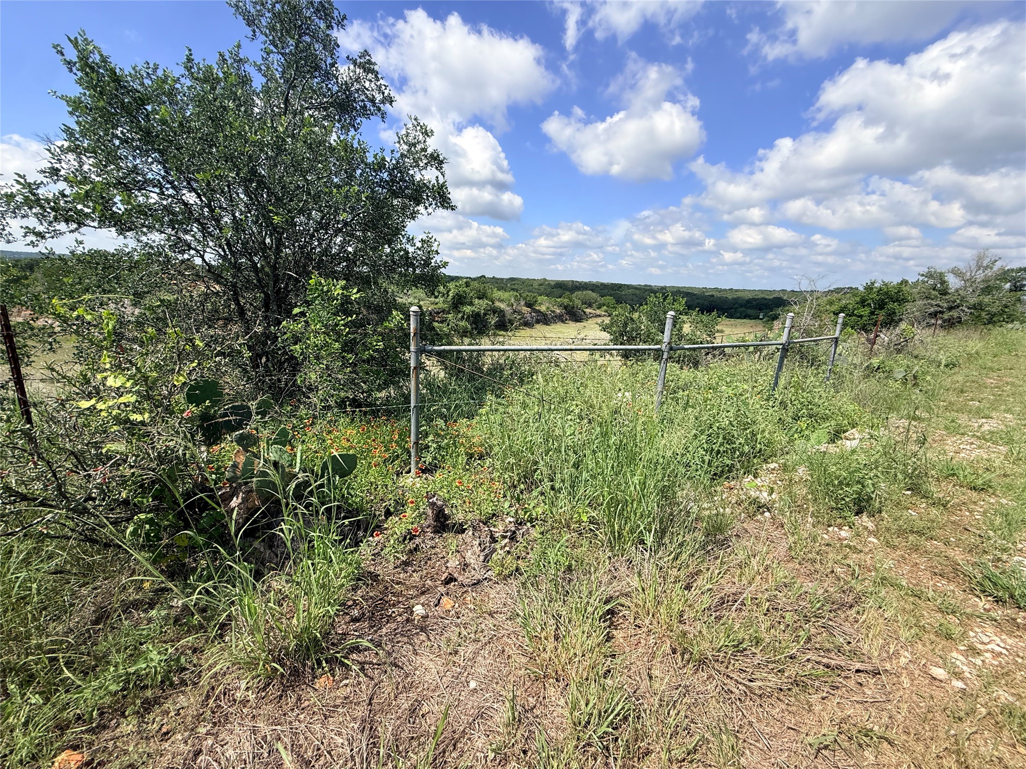 2013 Hilliard Road San Marcos, TX 78666 - Photo 6 of 37 Long range views from the rear of the lot, overlooking a conservancy directly behind, followed by large tract owned by Texas State.