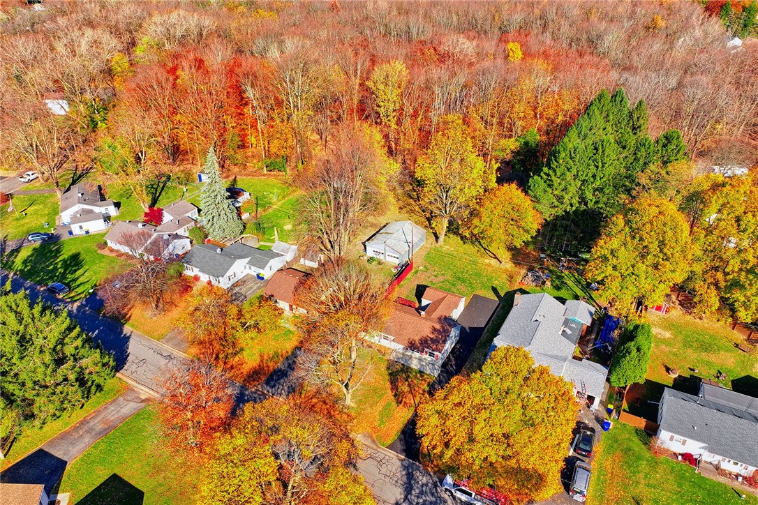 29 Seneca Street Webster, NY 14580 - Photo 37 of 44 AERIAL VIEW