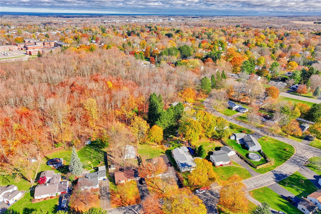 29 Seneca Street Webster, NY 14580 - Photo 40 of 44 AERIAL VIEW