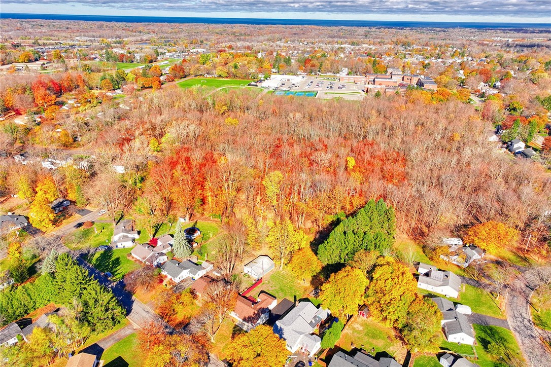 29 Seneca Street Webster, NY 14580 - Photo 41 of 44 AERIAL VIEW