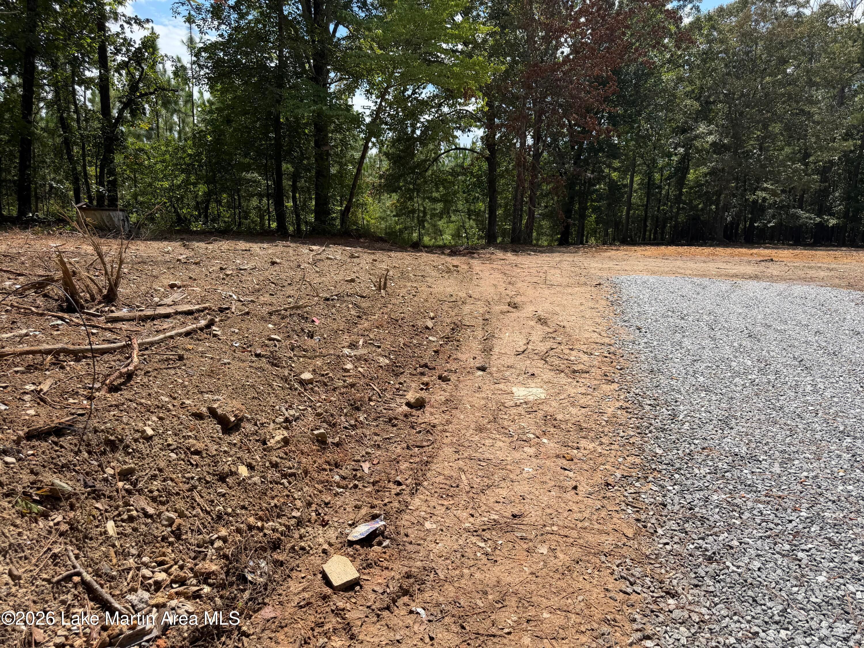 3 /- Acres Rock Springs Road Jacksons Gap, AL 36861 - Photo 8 of 11 Gallery Image 8