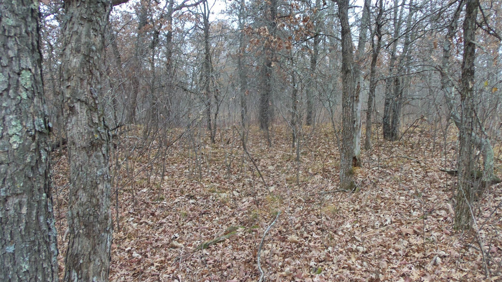 Lot 3 300th Street St. Croix Falls, WI 54024 - Photo 7 of 10