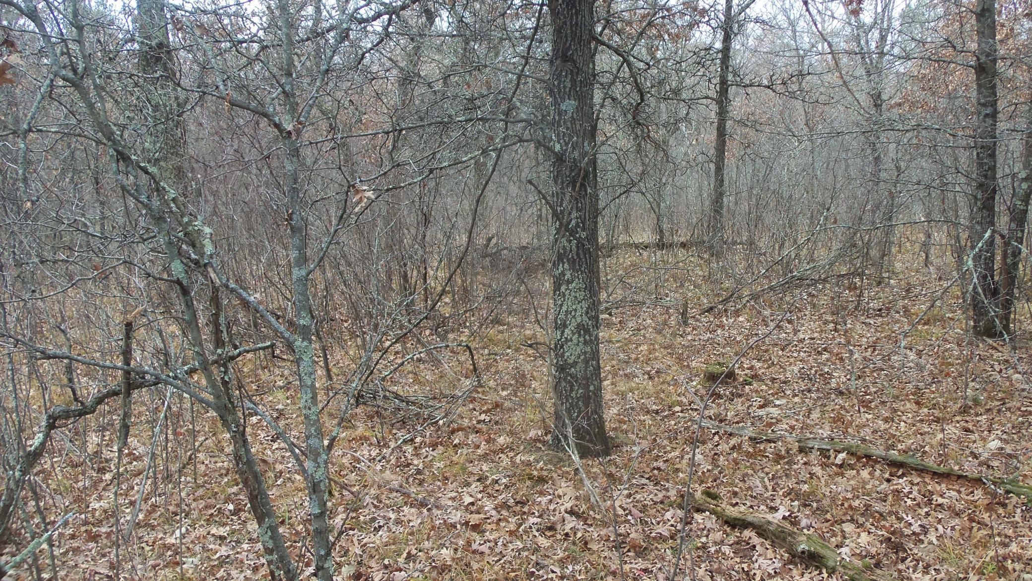 Lot 3 300th Street St. Croix Falls, WI 54024 - Photo 8 of 10