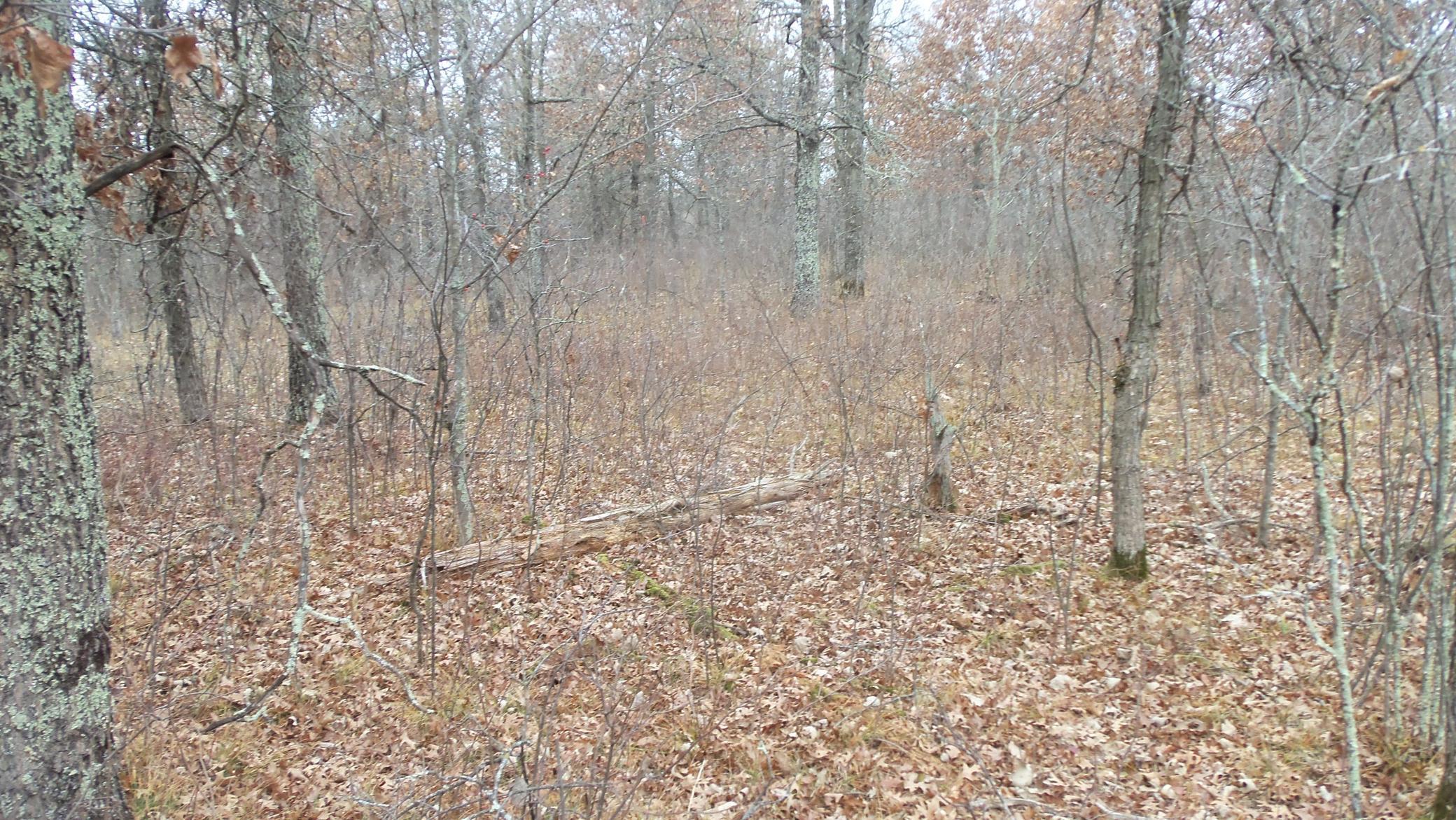 Lot 3 300th Street St. Croix Falls, WI 54024 - Photo 9 of 10