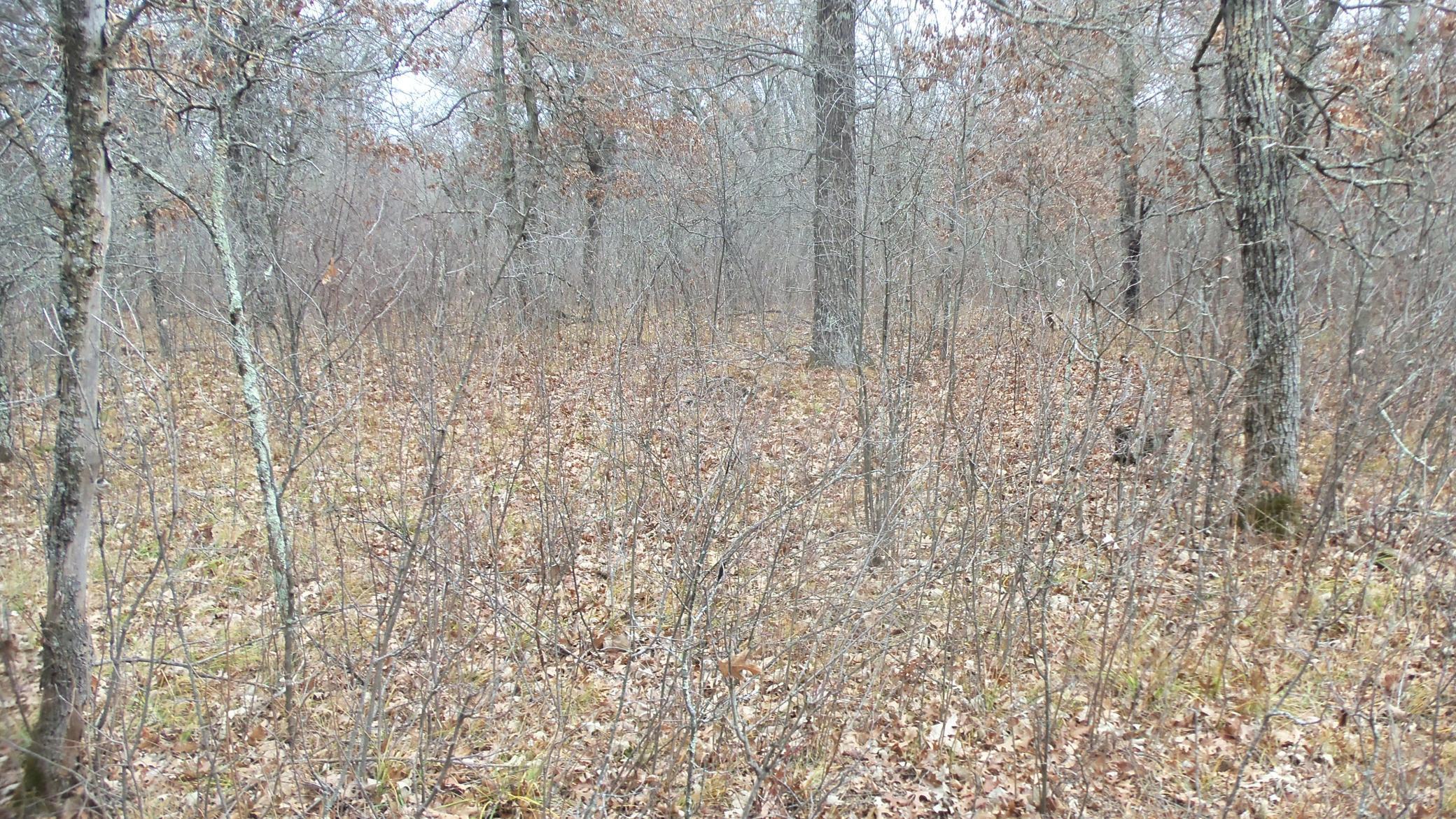 Lot 3 300th Street St. Croix Falls, WI 54024 - Photo 10 of 10