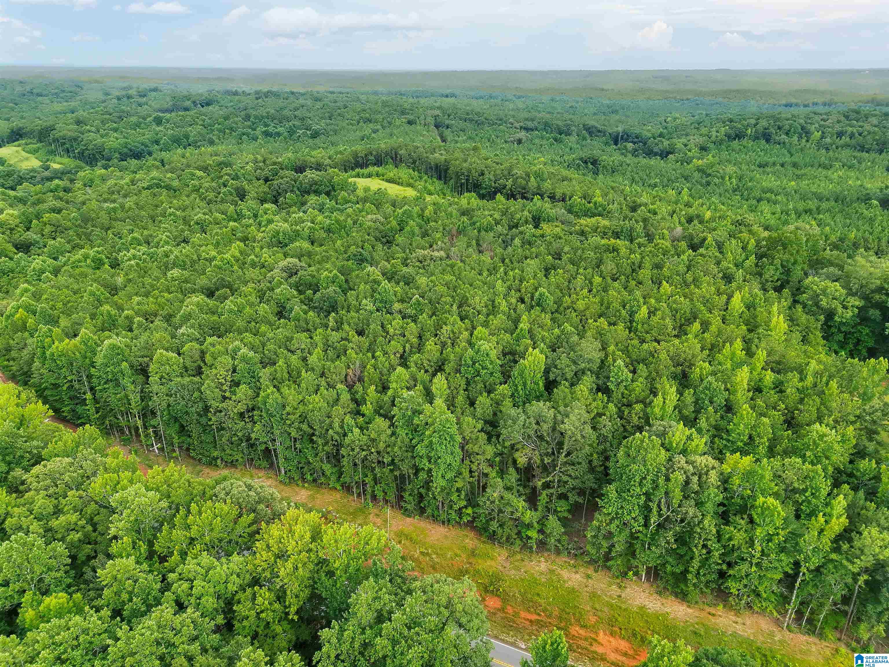 520 County Road, Unit 20 Verbena, AL 36091 - Photo 1 of 19