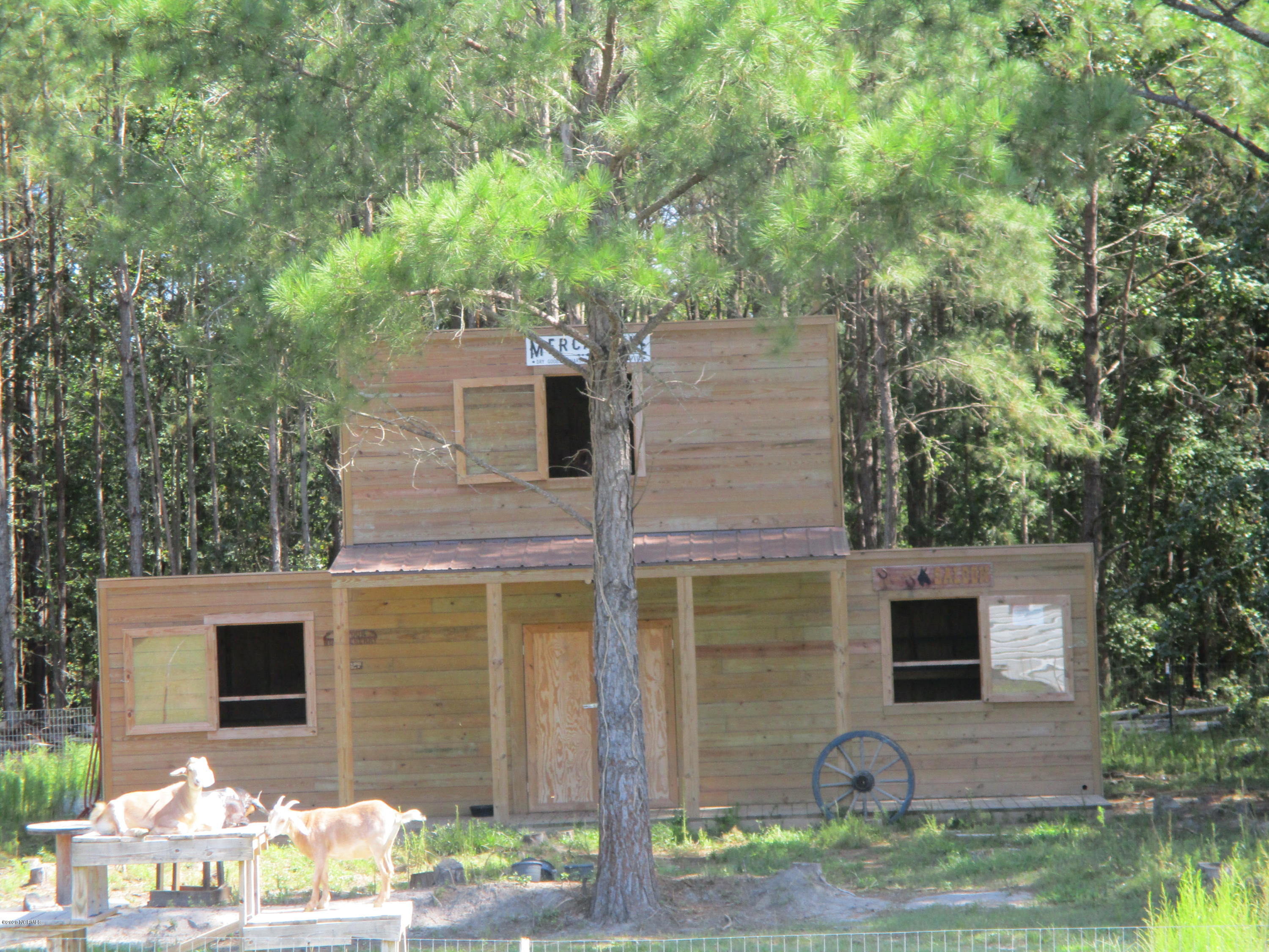 6401 Livingston Road Gibson, NC 28343 - Photo 26 of 32 Barn
