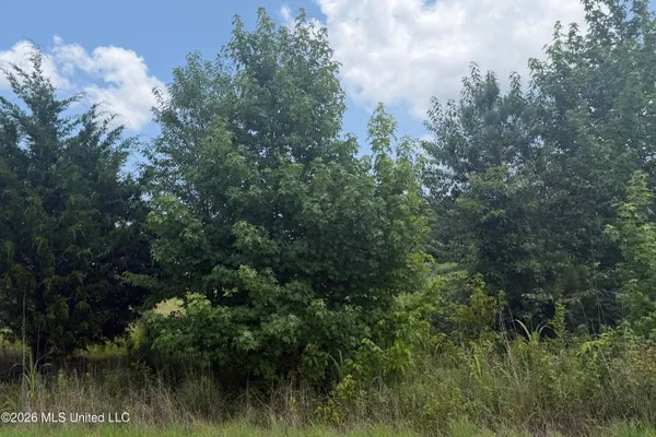$65,000 | 0 Kyle Road, Senatobia, MS 38668