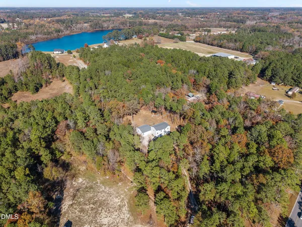 an aerial view of residential houses with outdoor space and trees