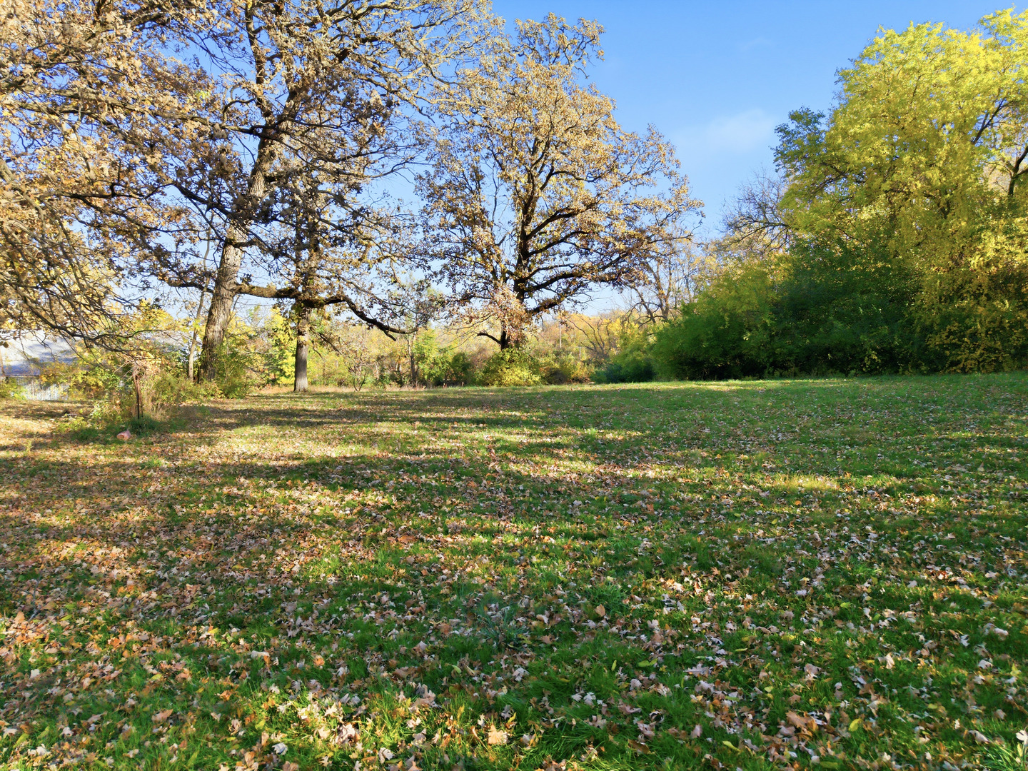 3805 Klasen Road Cary, IL 60013 - Photo 16 of 65 a view of a field with large trees