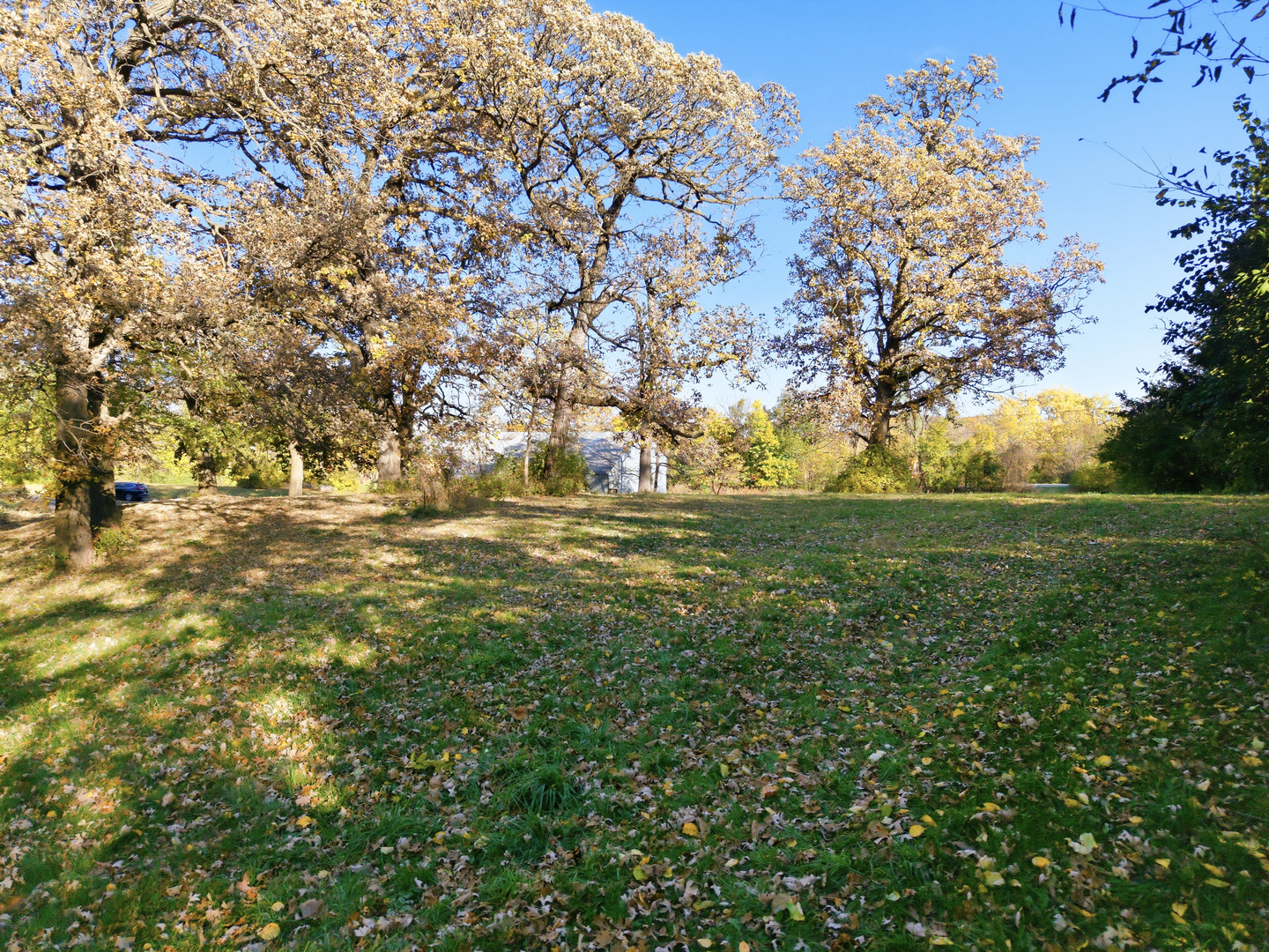 3805 Klasen Road Cary, IL 60013 - Photo 18 of 65