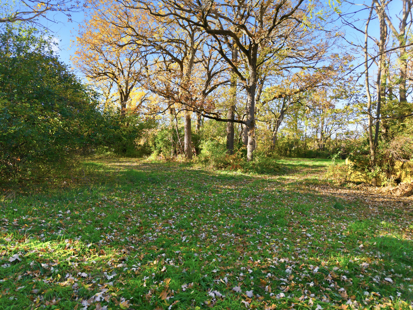 3805 Klasen Road Cary, IL 60013 - Photo 19 of 65 a view of yard with green space