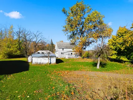 a view of a field with large trees