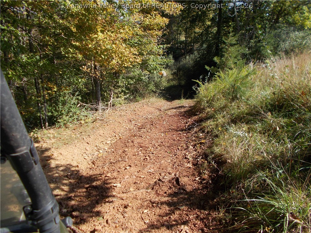 0 Mud Lick Road Liberty, WV 25124 - Photo 12 of 30 Gallery Image 12