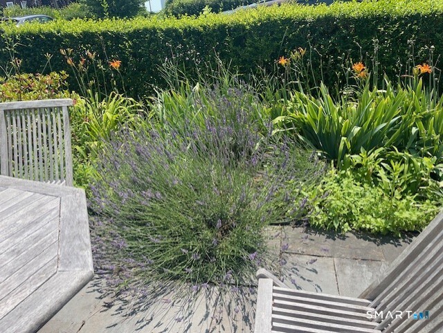 11 Tuxis Road Madison, CT 06443 - Photo 31 of 40 Owner photo ~ various perennials throughout.