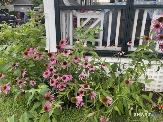 11 Tuxis Road Madison, CT 06443 - Photo 32 of 40 Owner photo