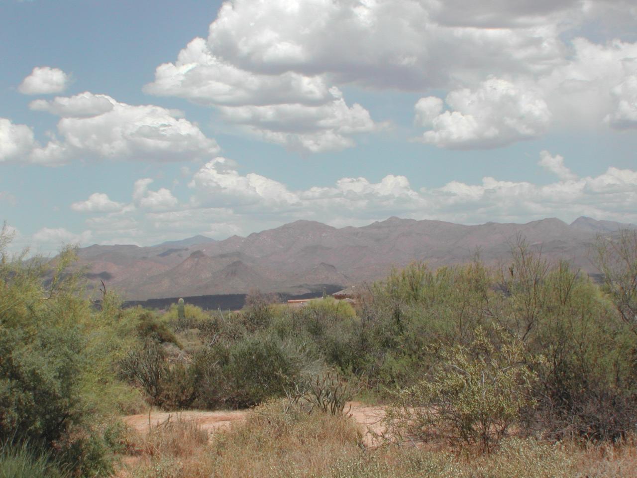26831 North 170th Street Rio Verde, AZ 85263 - Photo 2 of 4 FRONT OF LOT
