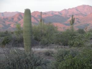 26831 North 170th Street Rio Verde, AZ 85263 - Photo 4 of 4 VIEWS