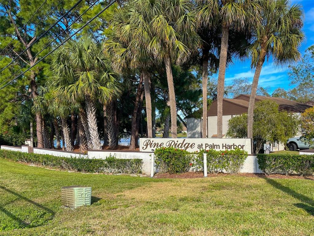 2642 Pine Ridge Way South, Unit G2 Palm Harbor, FL 34684 - Photo 28 of 31