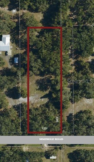 2951 Seminole Road St. Cloud, FL 34772 - Photo 3 of 6 a small garden covered with tall trees
