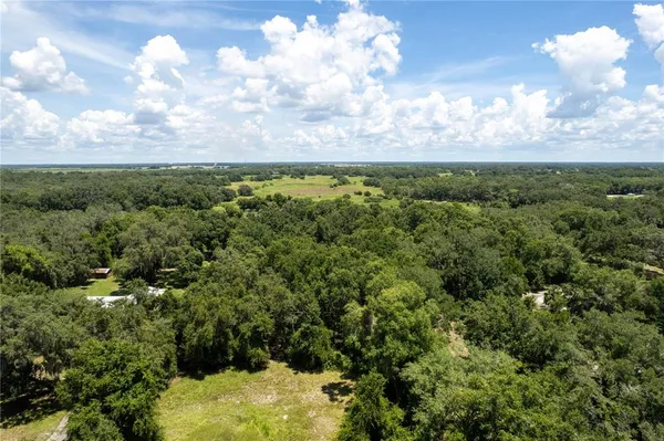 a view of a bunch of trees