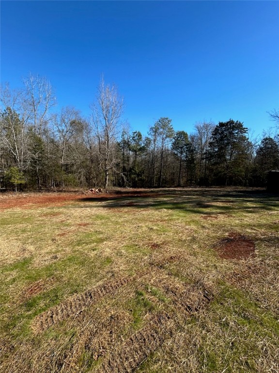 4925 Flat Rock Road Iva, SC 29655 - Photo 5 of 19 back yard facing woods