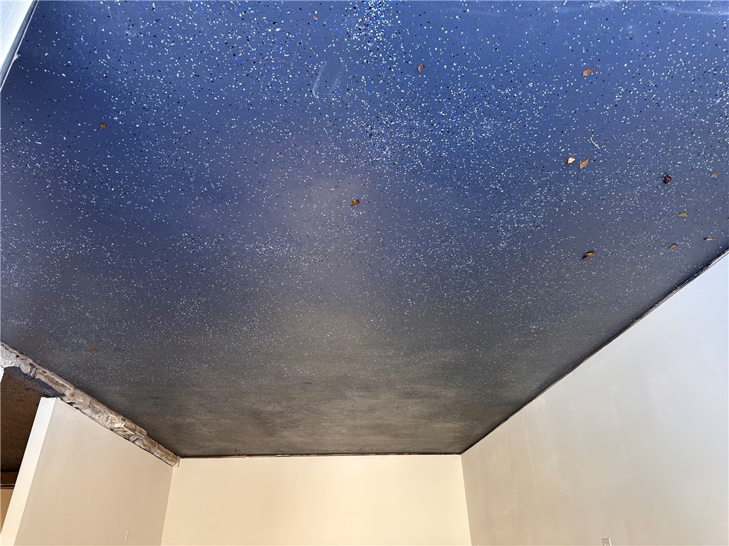 4925 Flat Rock Road Iva, SC 29655 - Photo 8 of 19