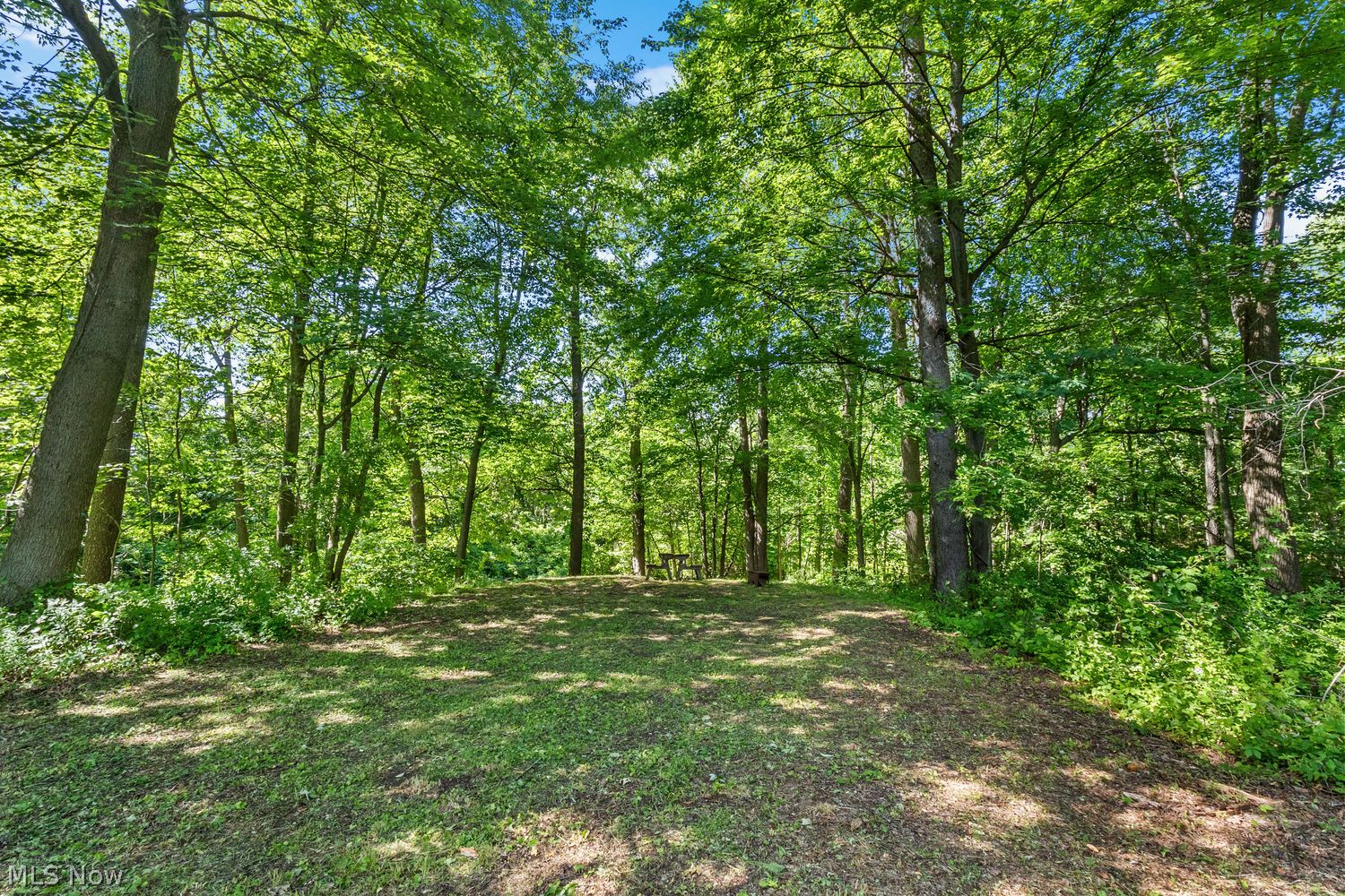 2272 McMackin Road Madison, OH 44057 - Photo 19 of 49
