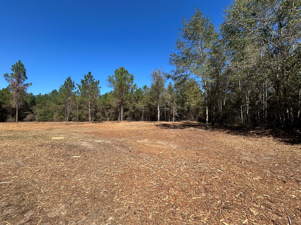 20-ac Coot Adams Road Ashford, AL 36312 - Photo 19 of 28