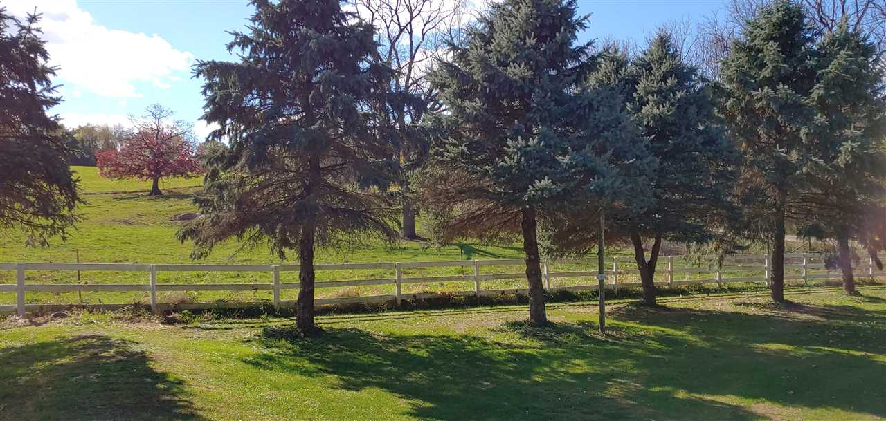 20979 Free Church Road Caledonia, IL 61011 - Photo 39 of 40 a view of a park with tree s