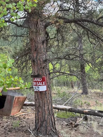 a view of outdoor space with garden