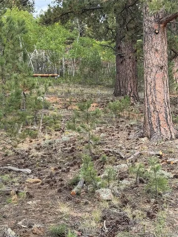 a view of a yard with a tree