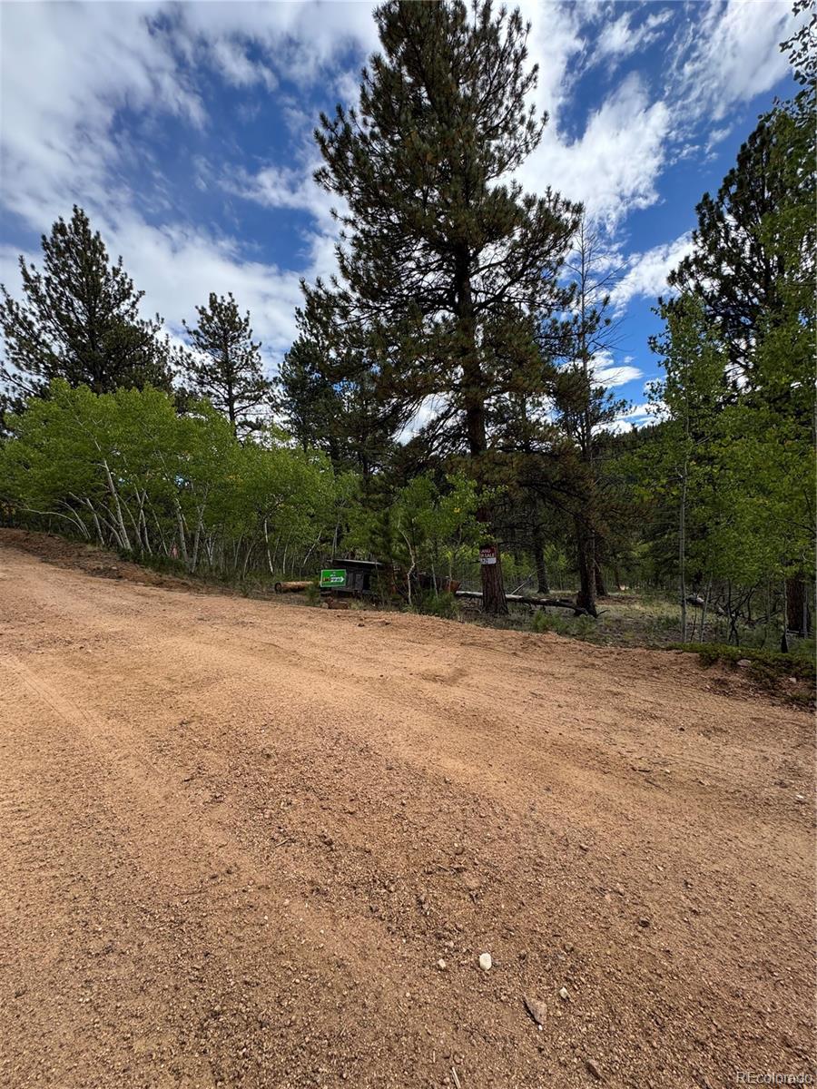 414 Hall Road Bailey, CO 80421 - Photo 15 of 19 a view of outdoor space with large trees